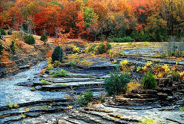 Photograph of fall color in northern Arkansas at the old Lake Fort Smith Sate Park.