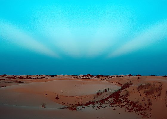 Picture of Monahans Sandhills State Park at dawn.