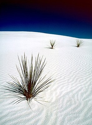 Picture of White Sands National Monument.