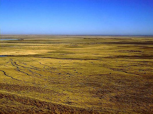 Picture of Wyoming prairie.